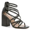 Hot Mix No. 6 Shaddie Sandal Black Snake Print